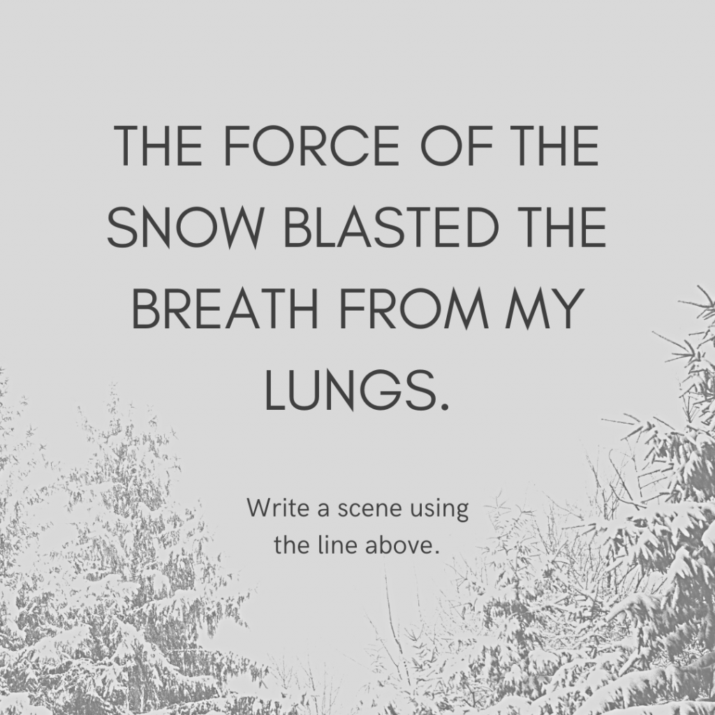 Snowscape with the text: The force of the snow blasted the breath from my lungs. Write a scene using the line above.
