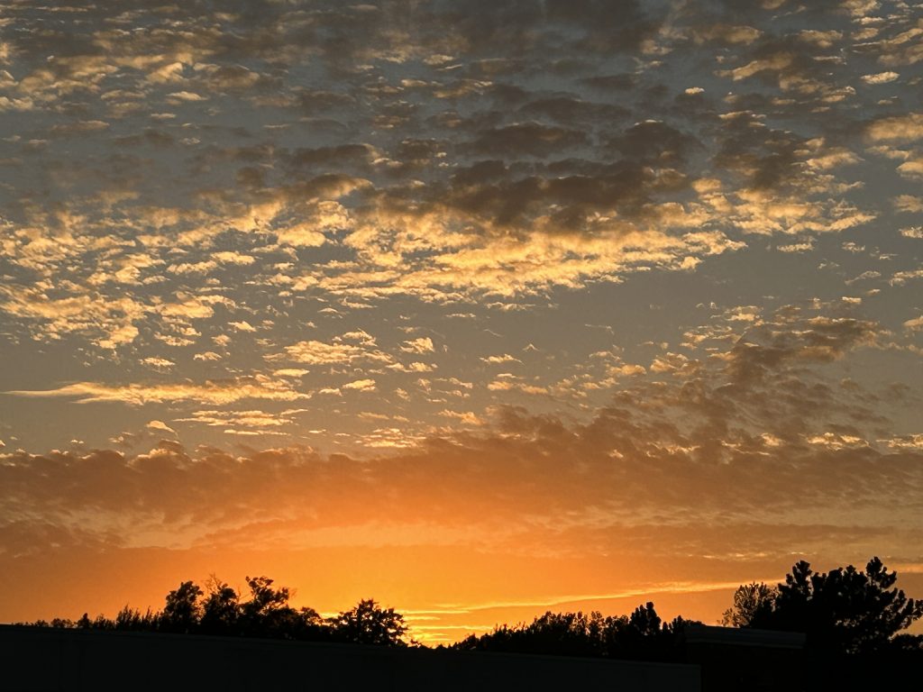 Cloudy orange sunset over the silhouette of trees