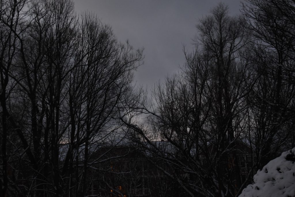 A dark gray winter sky with dark bare trees over a building with a few lights on and snow on the roof