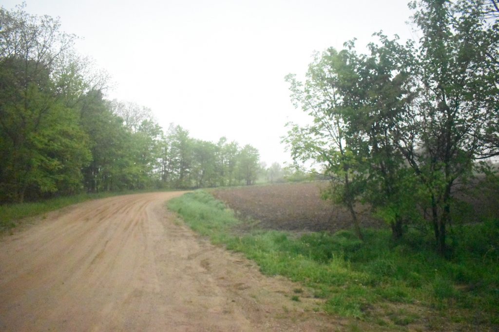 A dirt road curving away around a tilled feed and some trees.