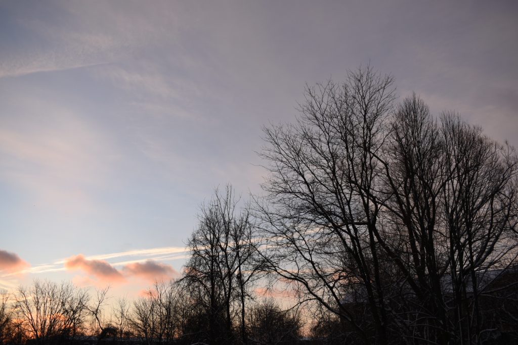 A sky with a few orange clouds and leafless trees