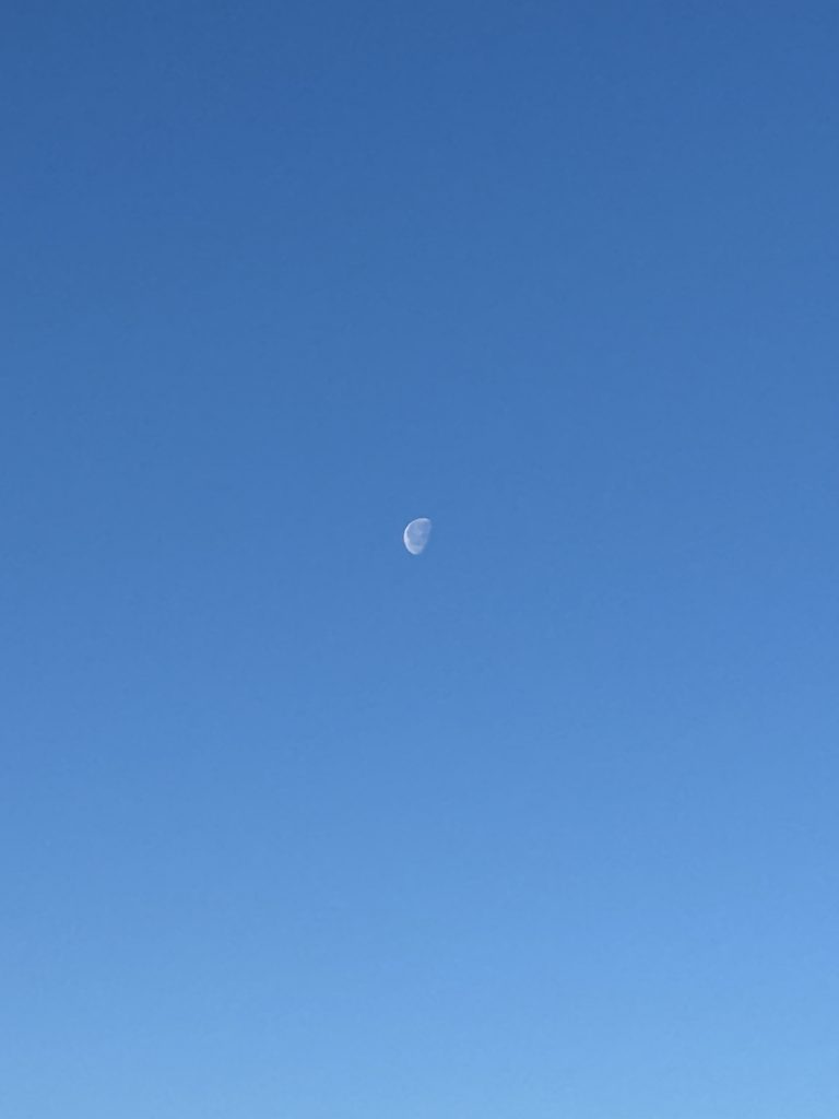 A half moon in a blue daylight sky.