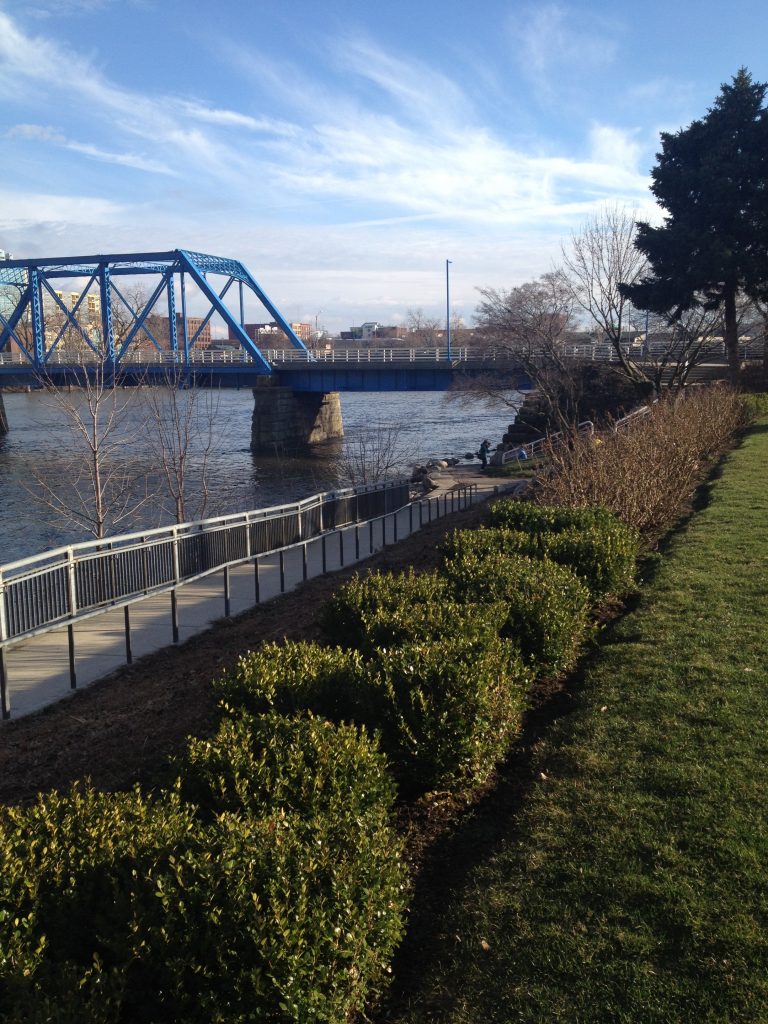 A blue pedestrian bridge over a river viewed from the shore a little ways away, shot over hedges and a river walk.