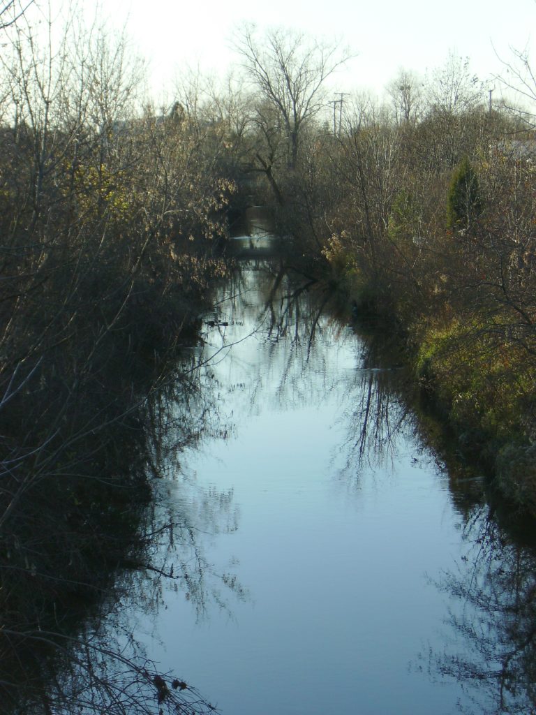 A creek  with brush along both sides.