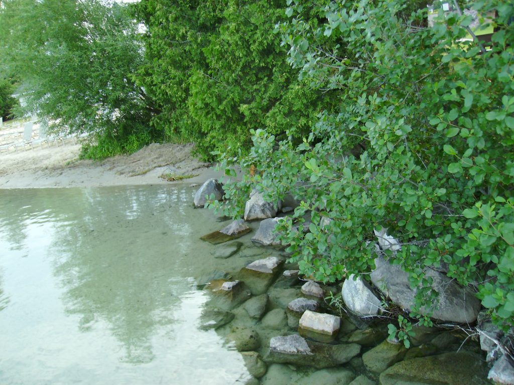 A stony shoreline with trees and sand and clear, shallow water.