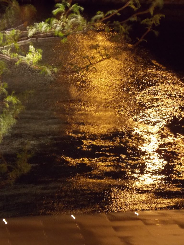 Rippling water by night. Distorted branches in the foreground.