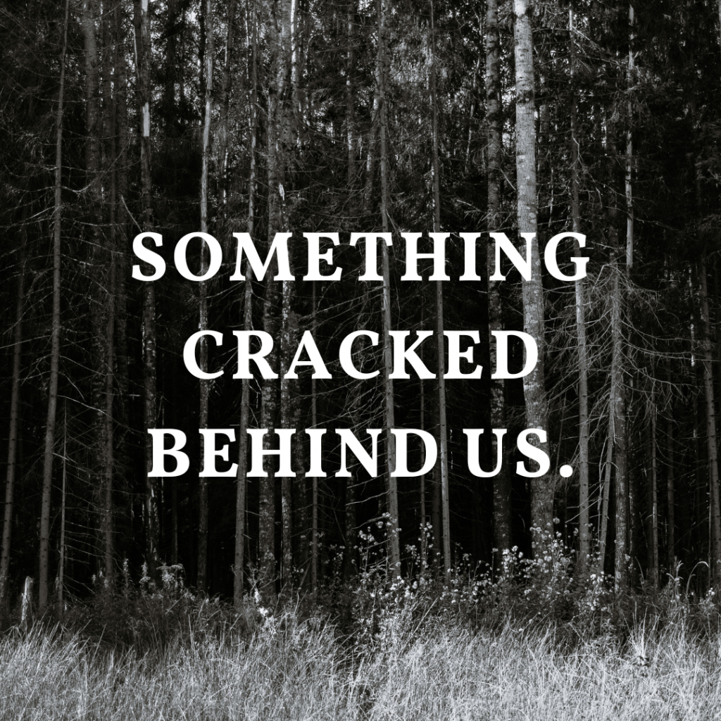 Grayscale image of pine forest. Words in white read "Something cracked behind us."