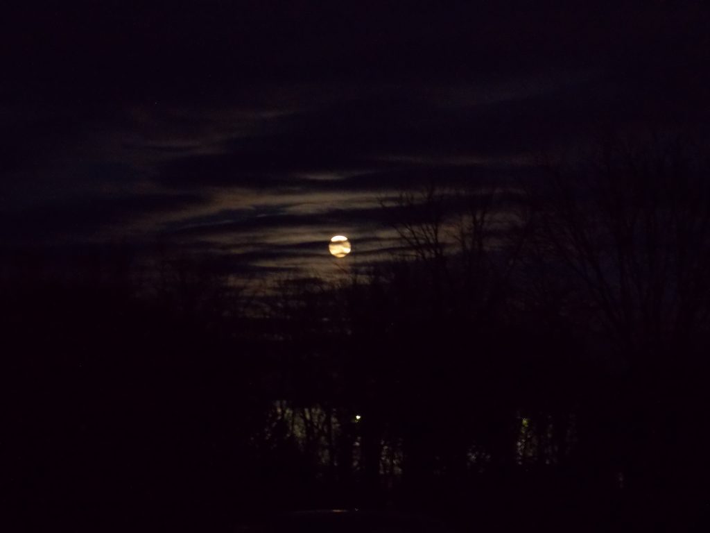 Full moon behind clouds and trees.