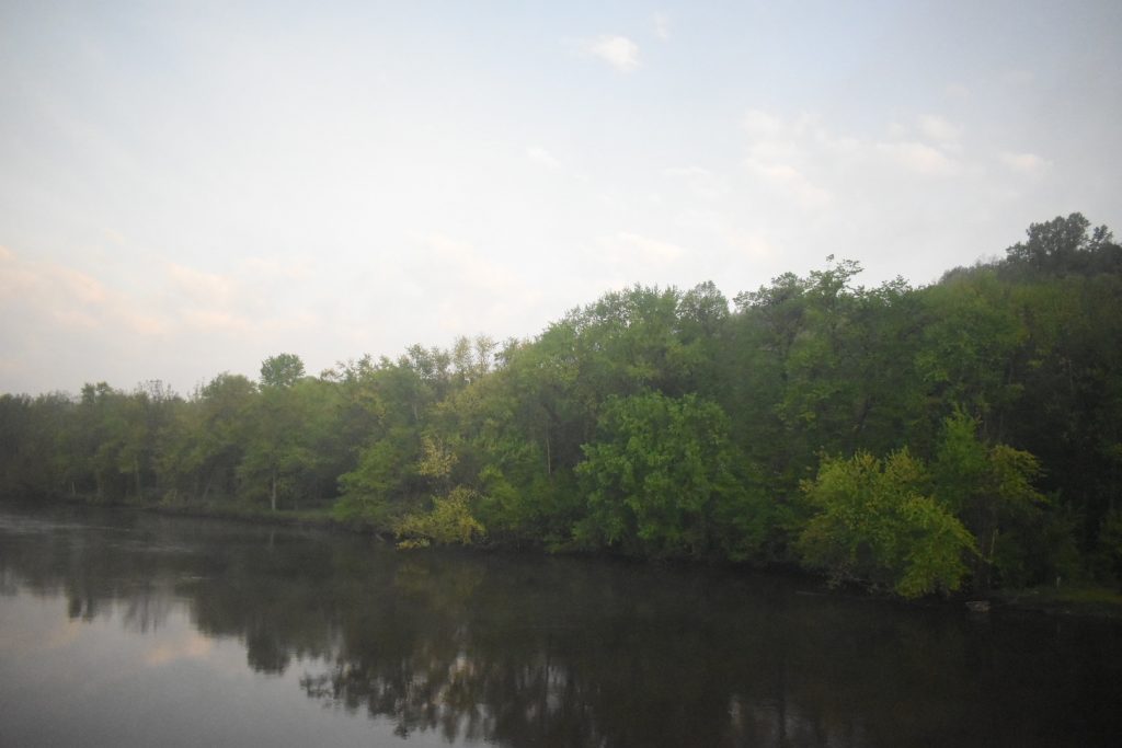 River under a gray sky morning with trees on the bank.