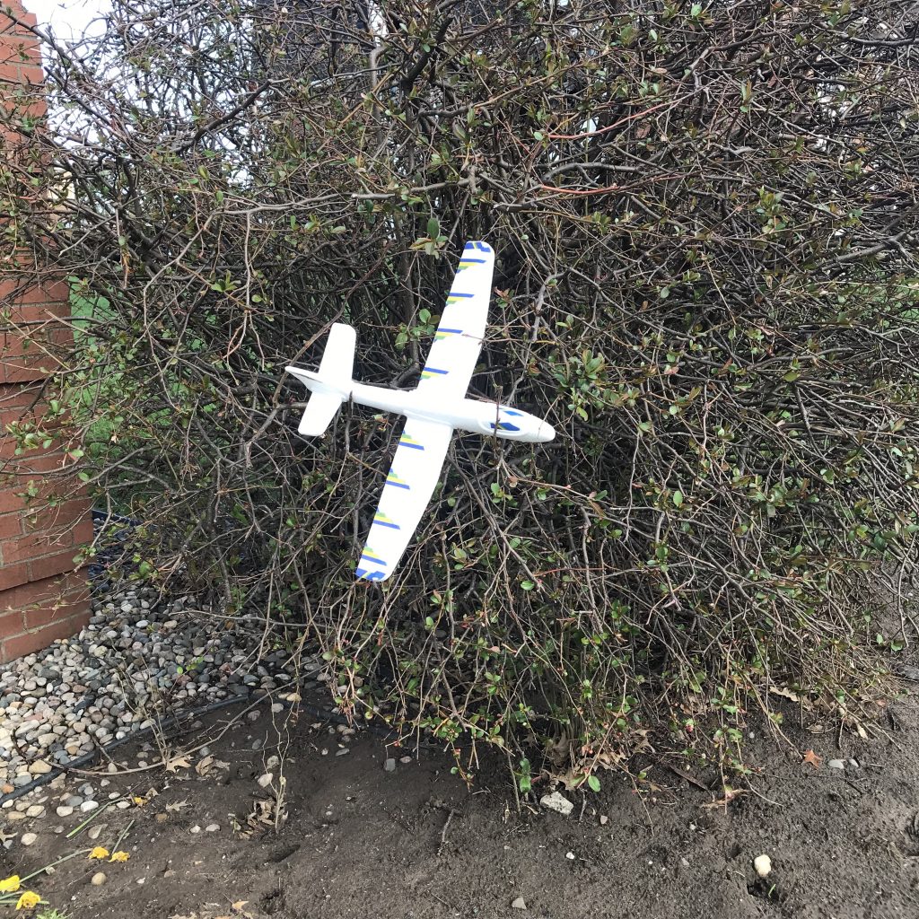 A white and blue toy styrofoam plane in a bush.