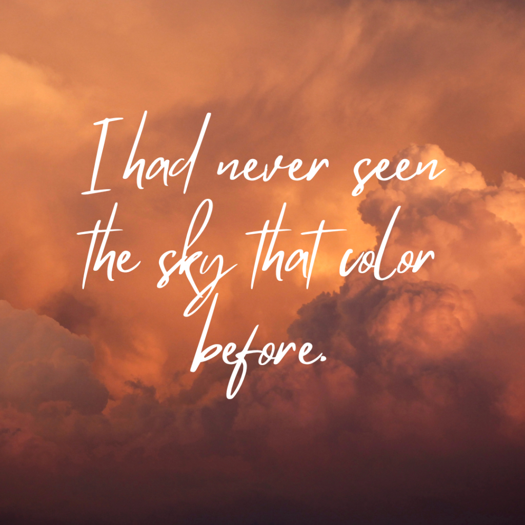 The sky with clouds in shades of orange. Words in white: “I had never seen the sky that color before.”