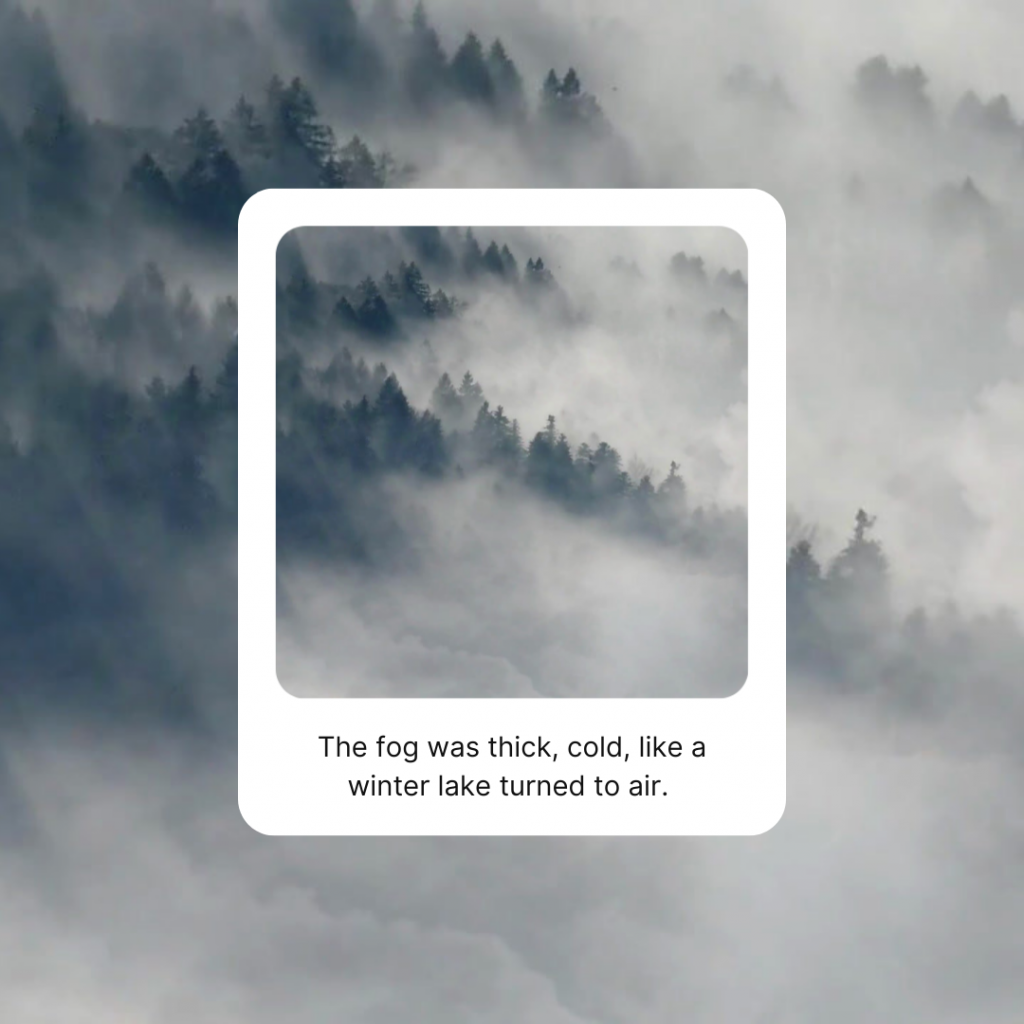 A foggy, forested mountainside with a Polaroid-style frame in the center. Words in black on the border of the frame: “The fog was thick, cold, like a winter lake turned to air.”